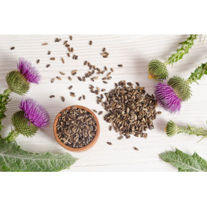 Top Natural Seeds